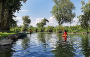 2 personnes de dos sur un kayak sur un fleuve d'eau entouré de verdure