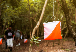 Balise de course d'orientation en pleine forêt