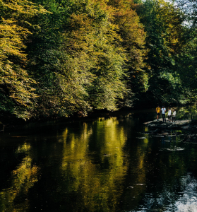 Gorges de la Vézère - parcours n°5