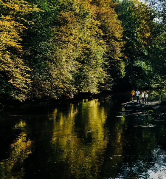 Gorges de la Vézère - parcours n°5