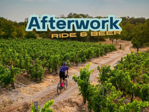 Homme sur un Gravel de dos traversant un champ de vignes sur un circuit rocailleux.