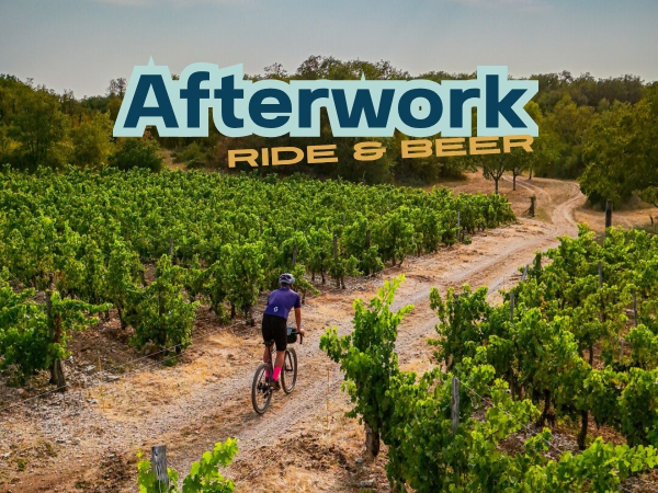 Homme sur un Gravel de dos traversant un champ de vignes sur un circuit rocailleux.